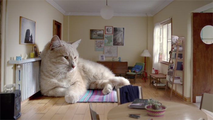 Cinco - Mariano Sigal & Loly Carnero