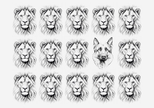 Informe especial. Cannes Lions 2025