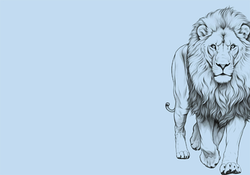 La performance argentina